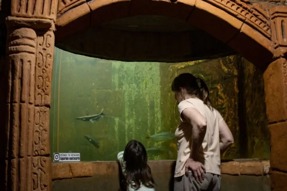 Aquarium Montecarlo es uno de los grandes atractivos de la localidad. //Foto: Graciela González.