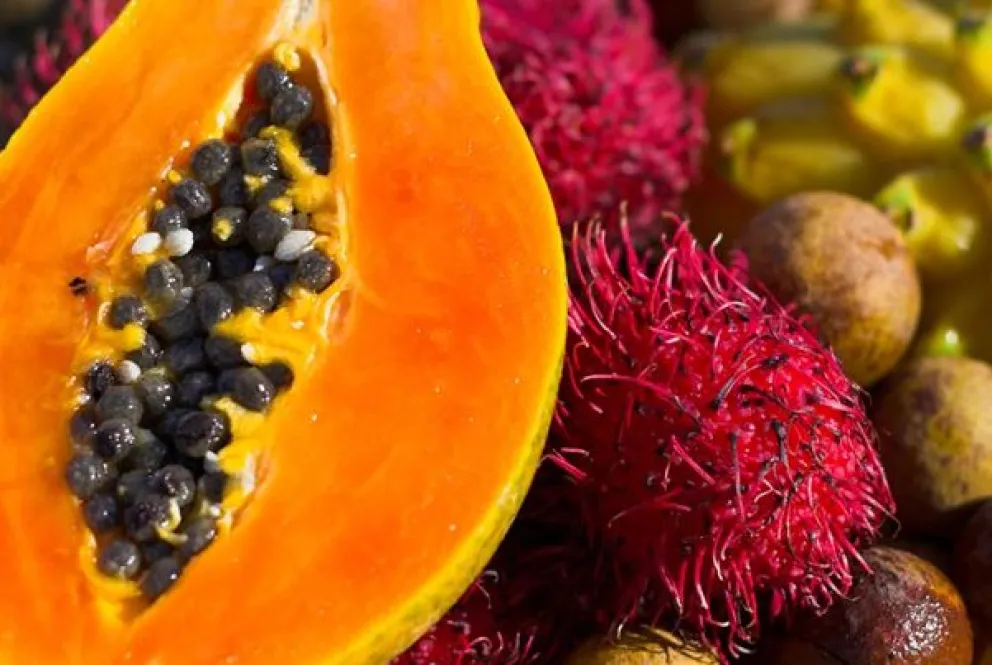 Vietnamitas capacitarán sobre frutas tropicales