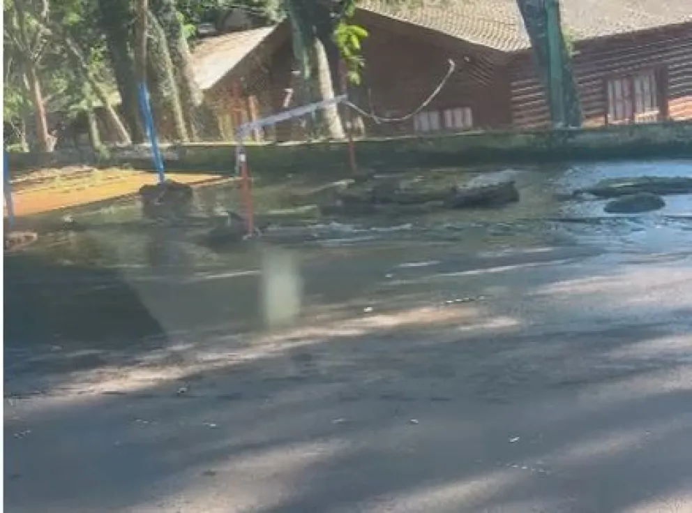 Iguazú: quejas por el agua que desecha IMAS inundando un sector de la calle Luis Beltrán