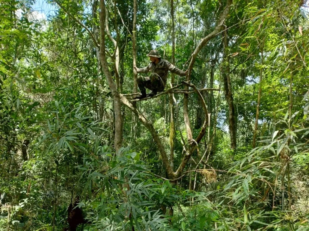 Un guardaparque prueba la resistencia de un sobrado, puesto de vigilancia improvisado en la selva por cazadores furtivos para acechar a sus presas. Armados y peligrosos, representan un grave riesgo para la fauna y para los cuidadores de áreas protegidas.