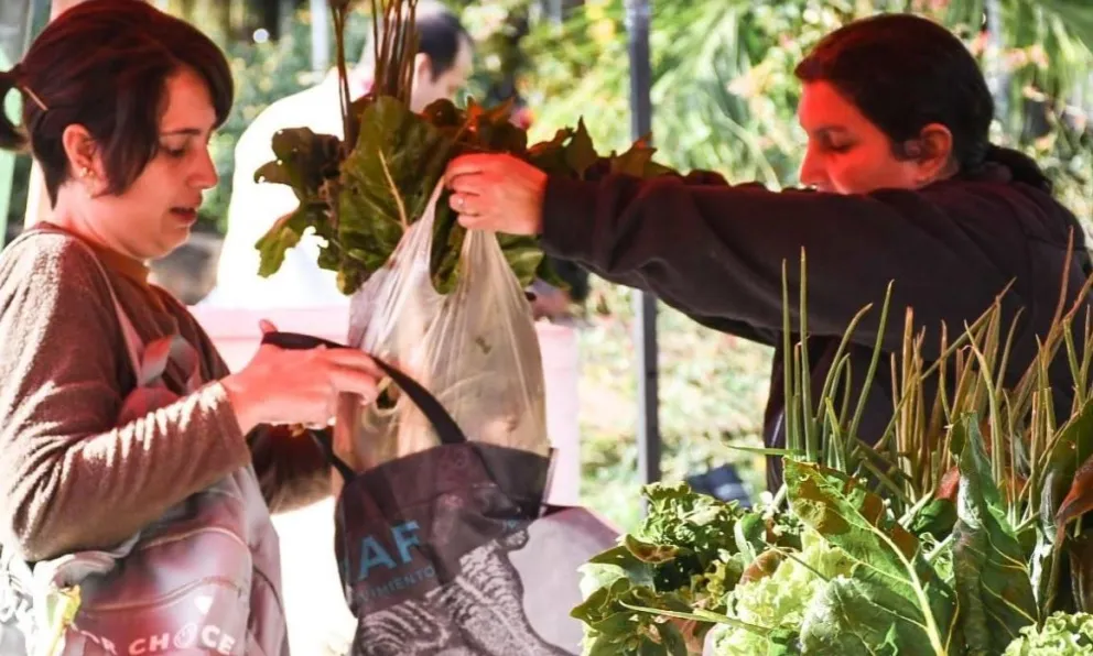 Agricultura Familiar: este miércoles vuelven los Combos Universitarios a Posadas y Oberá