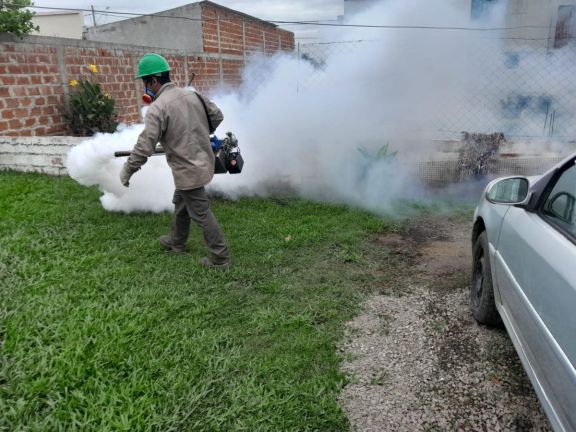 Hay 108 casos de dengue activos en Santo Tomé
