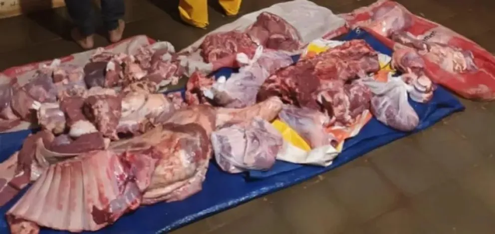 Transportaban 40 kilos de carne faenada ilegalmente en una moto