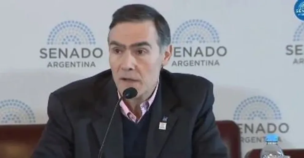 Tamborenea durante su exposición en el Senado. //Foto: captura de video.