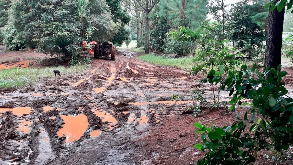 Las chacras sufren el deterioro de los caminos.  Foto: Esteban González