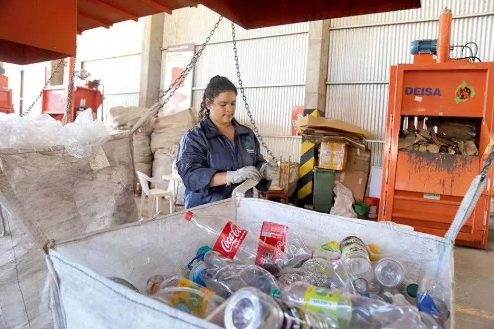 Los residuos llegan al Centro Verde Municipal y son porcesados. //Foto: gentileza.