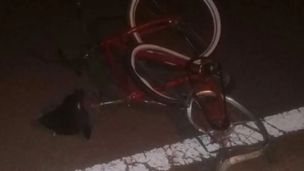La víctima viajaba en una bicicleta tipo playera sobre Costanera Sur. Fotos: archivo