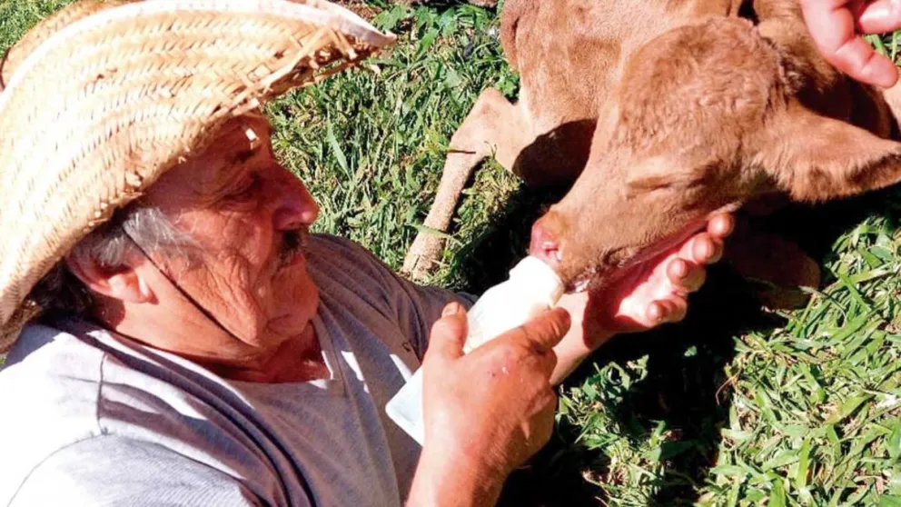 Por cuestiones de salud, Pablo Debarba tuvo que reducir los trabajos pesados en la chacra, pero contó que le gusta cuidar a los animales.   Foto: Carina Martínez