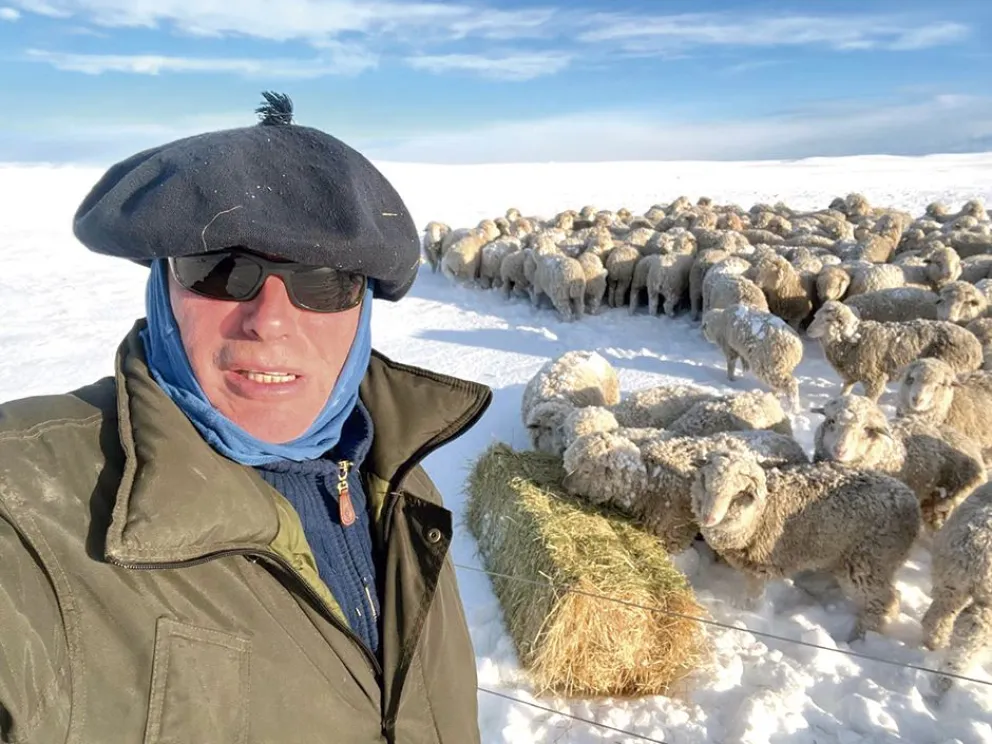 Percy Tejedor muestra cómo le dan de comer forrajes a las ovejas, que se fueron quedando cercadas por la nieve cada vez más alta. Fotos: gentileza P. Tejedor