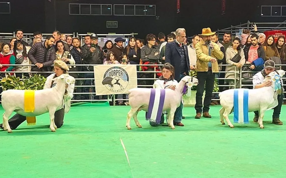 Misiones se lució en la pista de la Expo Rural en Palermo | El Territorio