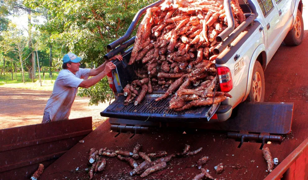 Safrán destacó la prórroga de créditos productivos para Misiones imagen-6