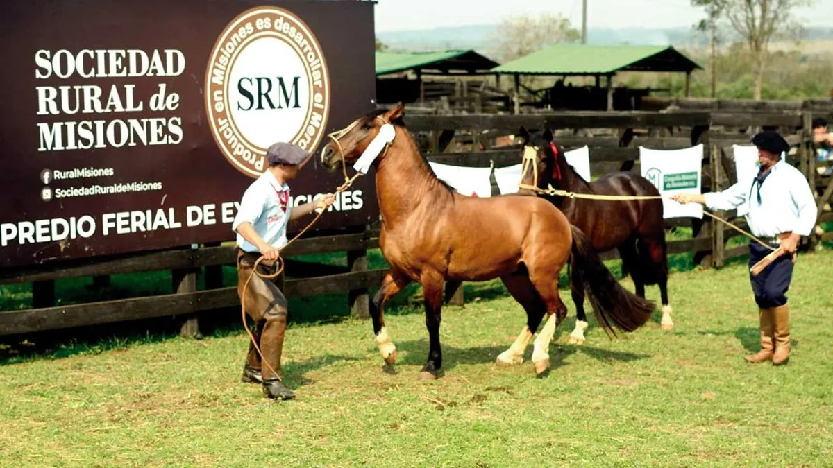 Expo Rural de Misiones