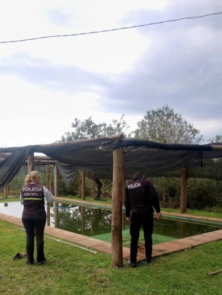 Foto: Policía de Misiones 
