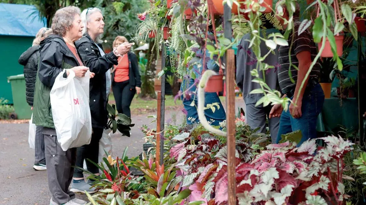 Montecarlo. Fiesta Nacional de la Orqu&iacute;dea