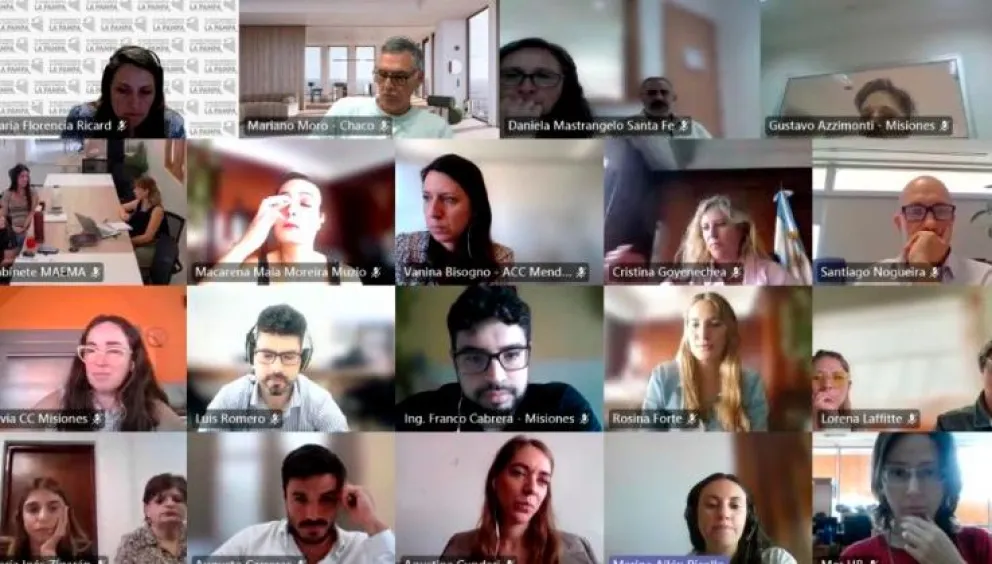 El encuentro sobre cambio climático se realizó de manera virtual.  