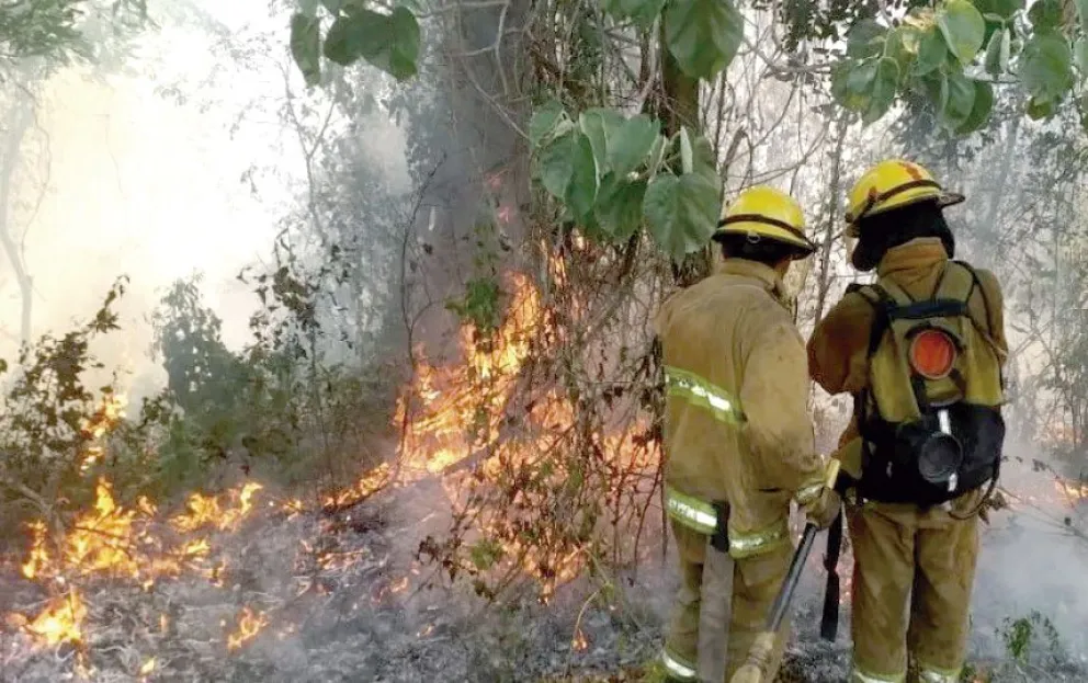 El mapa de riesgos mide también la vulnerabilidad de la vegetación ante el fuego.