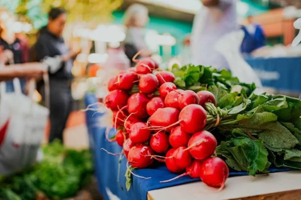 También habrá puestos de venta y exposición de alimentos frescos, orgánicos y procesados, elaborados por productores locales.
