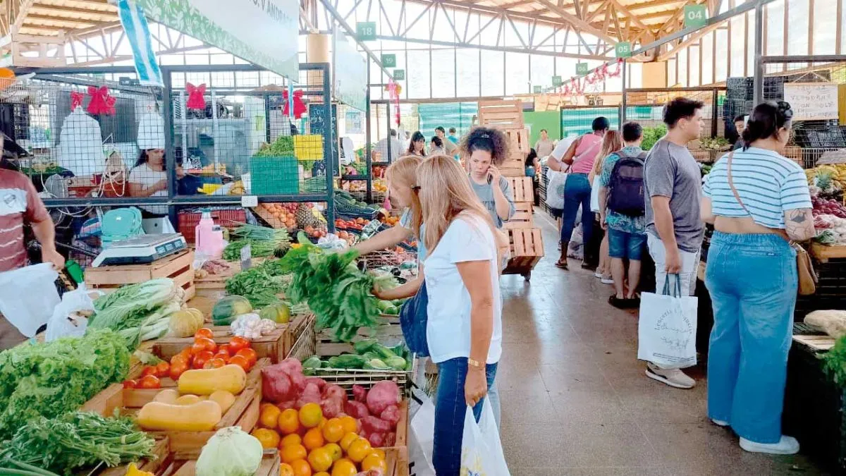 Mercado Concentrador