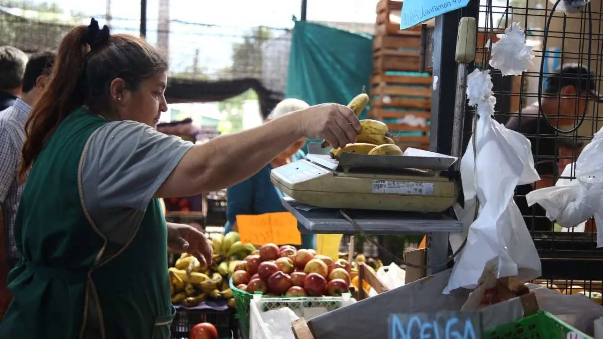 ferias y mercados concentradores