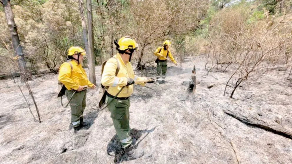 Tirar la colilla de un cigarrillo encendido, por ejemplo, puede desencadenar graves incendios.   