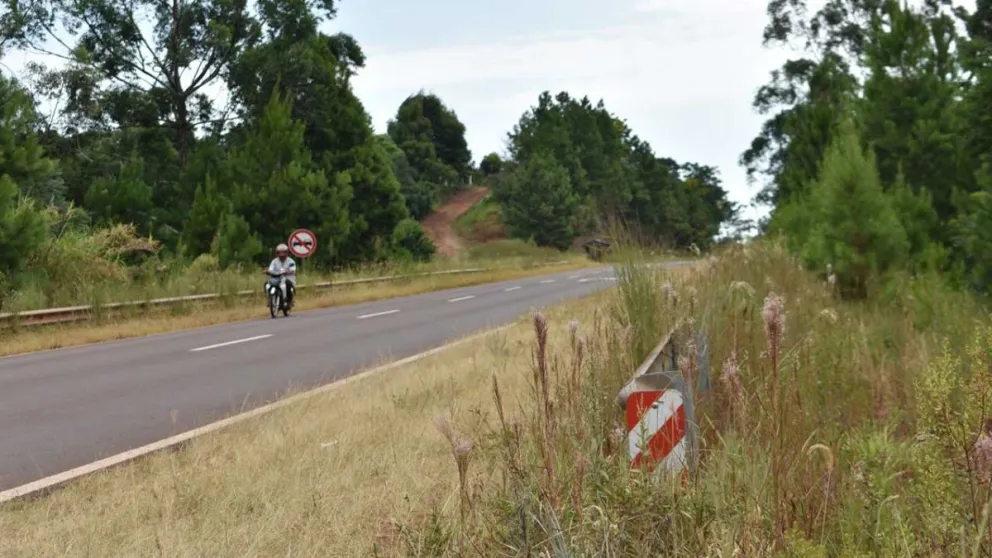 En la zona de San Pedro, las banquinas de ruta 14 se encuentran en mal estado con pastizales. Foto: Carina Martínez