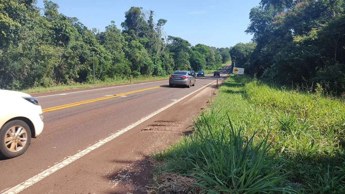 Banquinas de ruta 12, en Iguazú