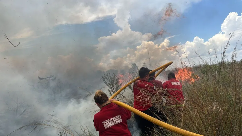 Se quemaron 96 hectáreas de maleza y pino en el barrio Cruz del Sur imagen-6