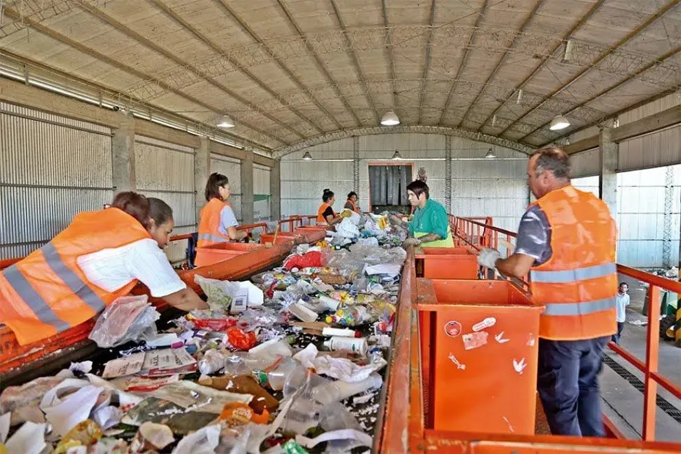 En promedio, procesan unas 100 toneladas de residuos mensualmente. 