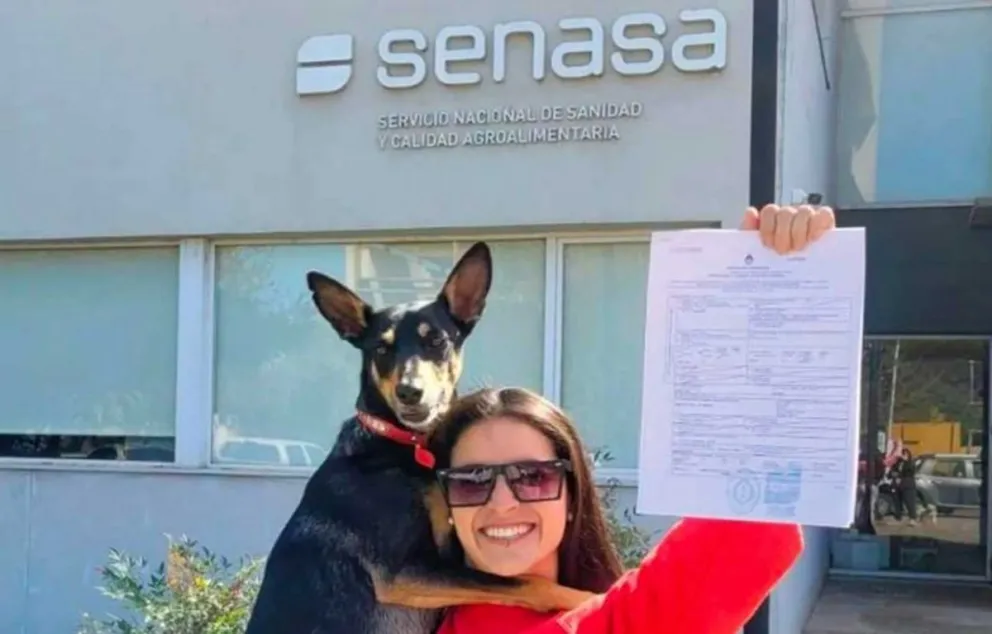 Los requisitos pueden variar según el país de destino.  Foto: Instagram Senasa