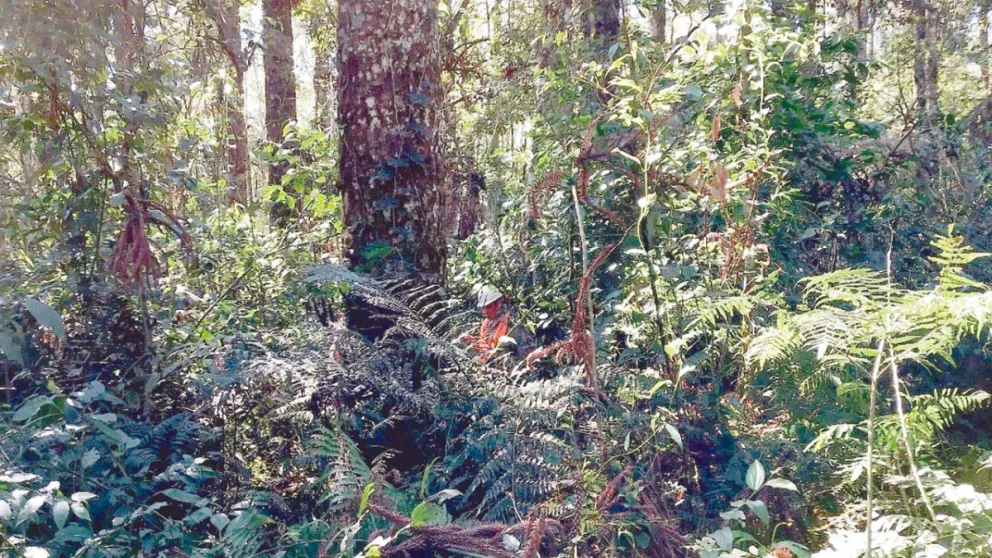 Un importante grupo de investigadores evaluó el estado de conservación de la biodiversidad. //Foto: Gentileza.