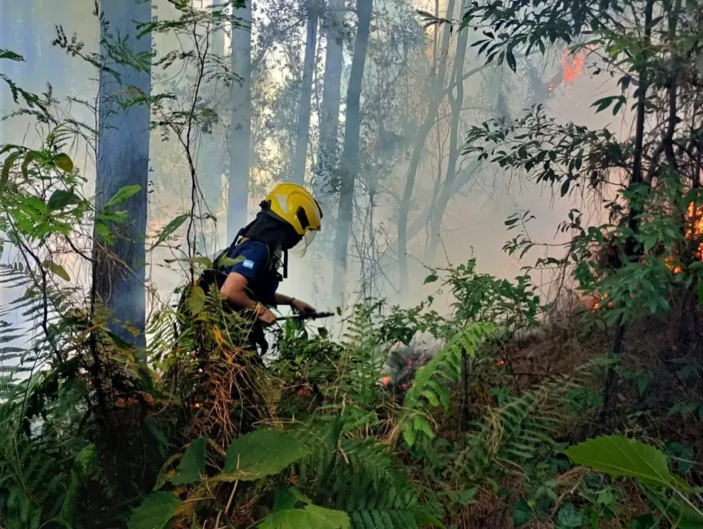 En la provincia se redujeron los incendios forestales, pero el riesgo sigue alto imagen-5