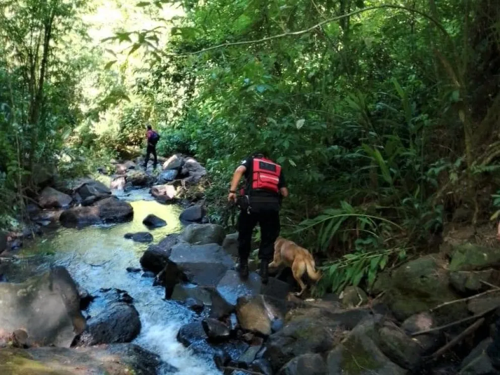 La búsqueda esta tarde, en la zona marcada por los canes adiestrados. //Foto: URV.