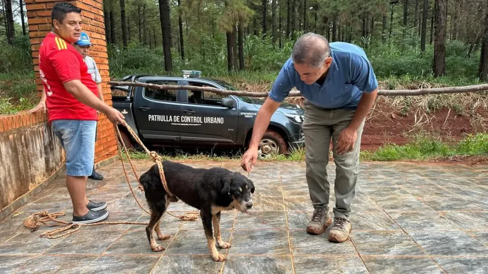 Se continua las tareas de cuidado responsable de mascotas en Puerto Esperanza imagen-6