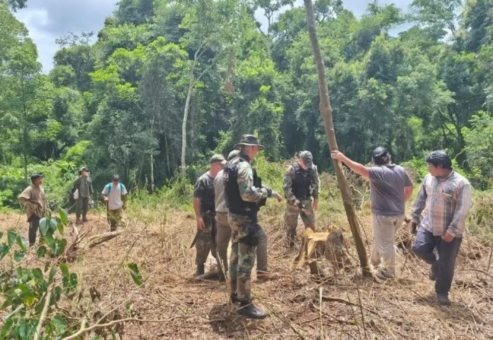 Detectan y frenan desmonte ilegal en territorio Mbyá en Pozo Azul imagen-6