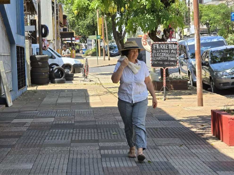 Segunda ola de calor: temperaturas extremas superarán los 40°C en Misiones imagen-6