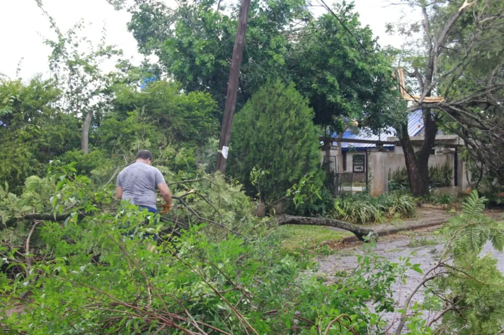 Temporal sorpresa causó destrozos en barrios de Posadas imagen-6