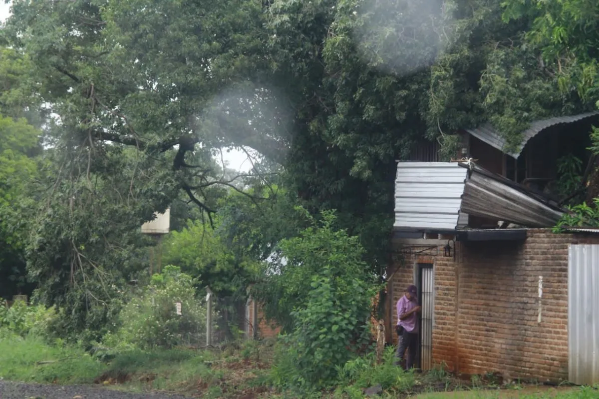 Temporal sorpresa causó destrozos en barrios de Posadas imagen-8