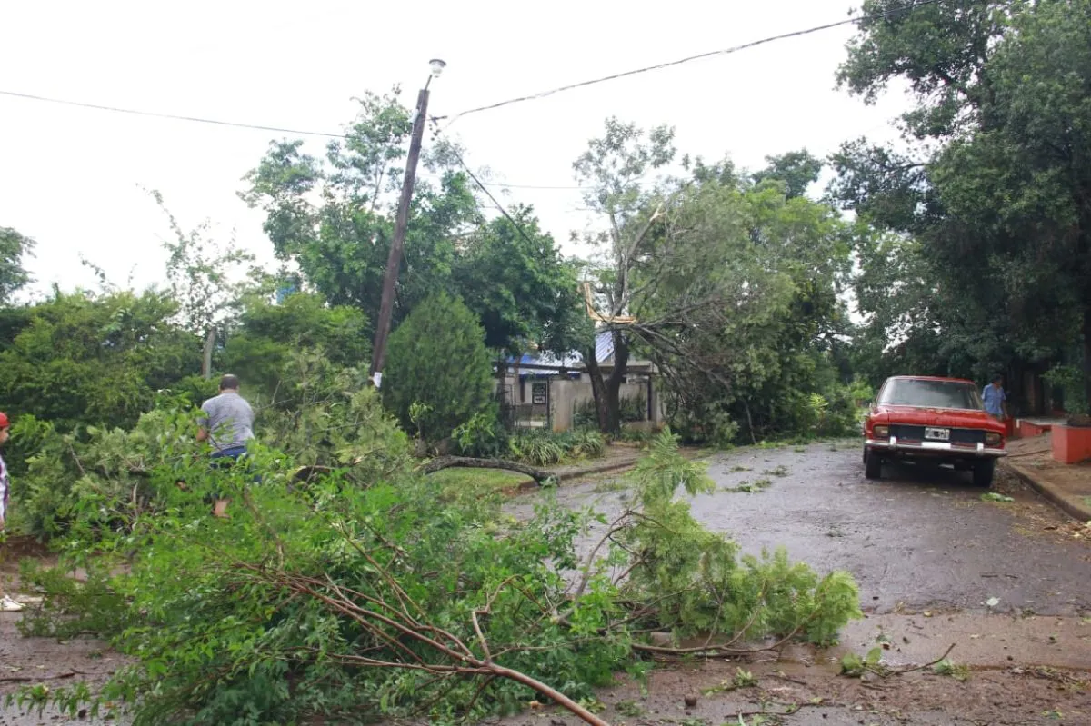 Temporal sorpresa causó destrozos en barrios de Posadas imagen-10