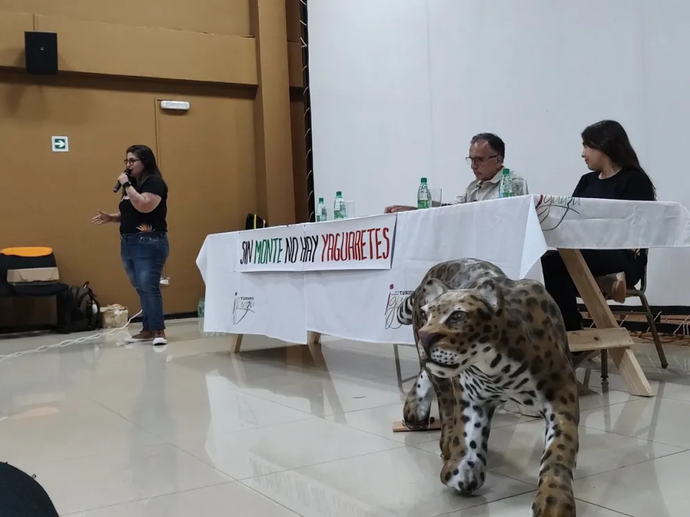 Buscan generar educación ambiental para evitar el atropellamiento de animales imagen-6