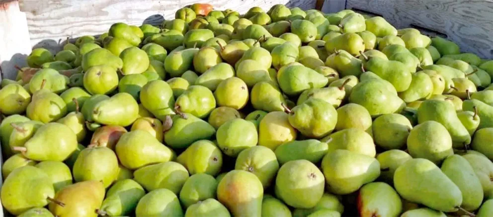 Se generó un sobrestock por ventas no hechas en 2024.