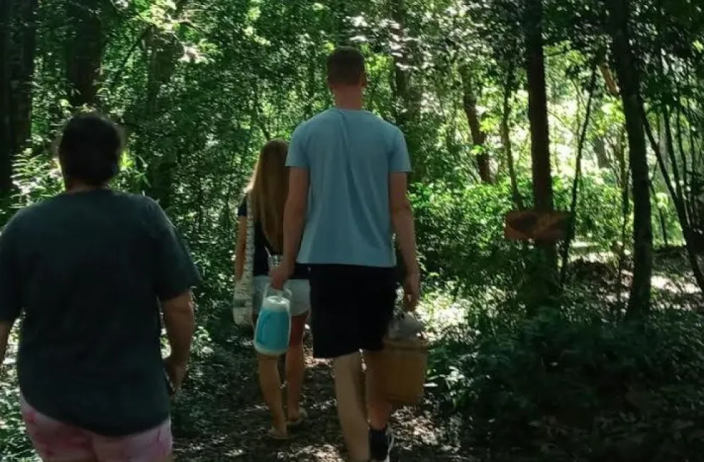 Esculturas de madera se exhiben en el jardín botánico de San Vicente imagen-5