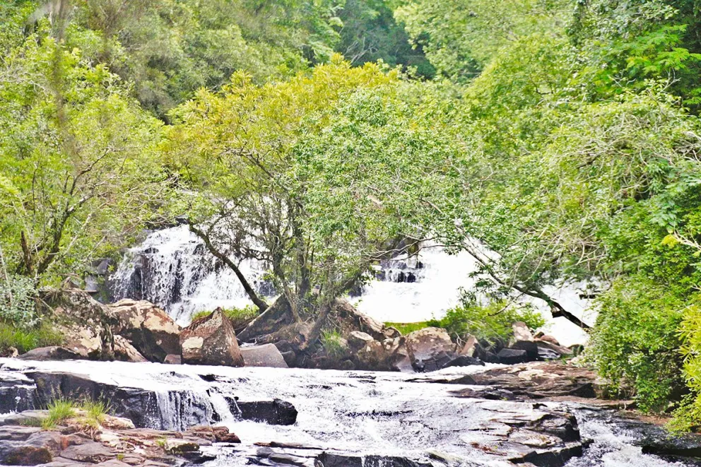 Los lugares abiertos y de naturaleza fueron los más elegidos.  Foto: Luciano Ferreyra