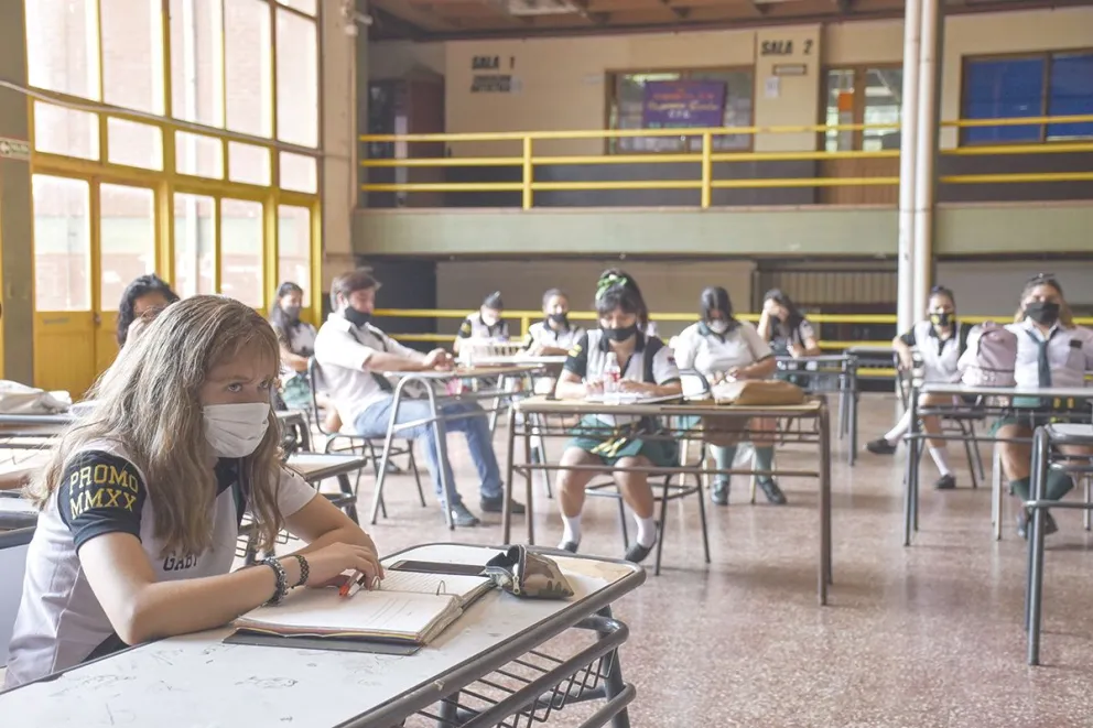 Sostiene que los estudiantes tienden a no participar de actividades colectivas.