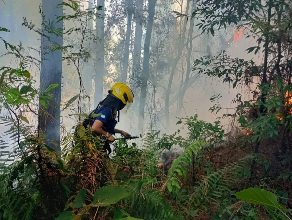 La medida responde al potencial riesgo de incendios por el clima seco. //Foto: Ilustrativa.