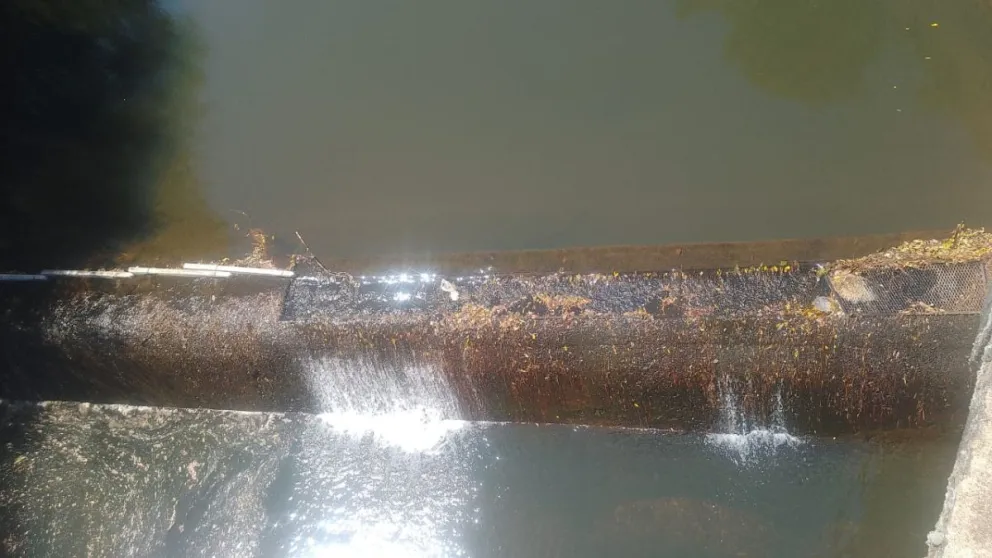 La bajante del arroyo que abastece la planta potabilizadora genera preocupación. //Foto: Esteban González.
