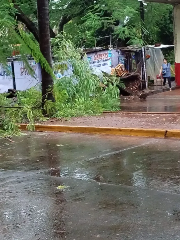 Foto: Energía de Misiones 