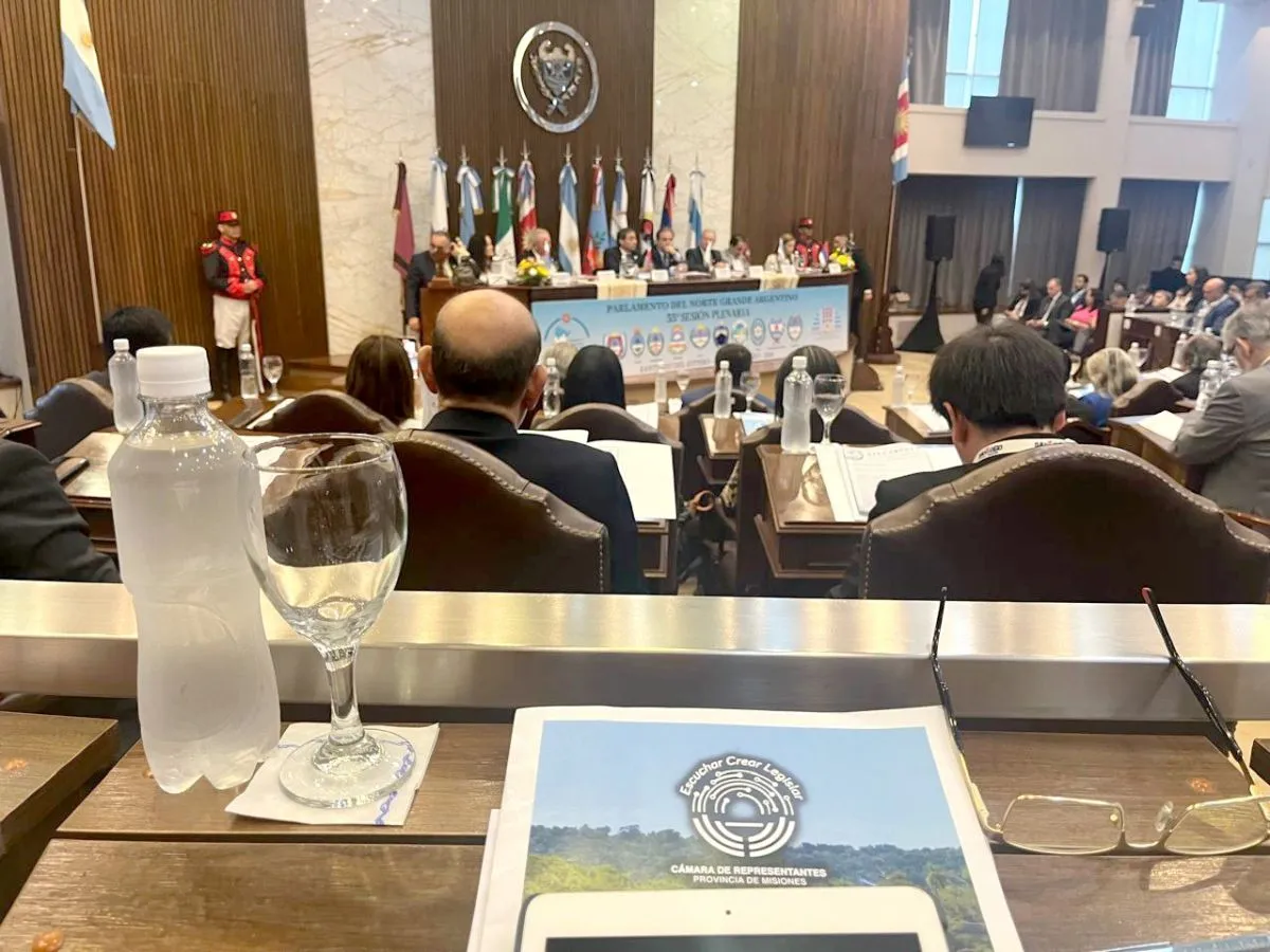 Provincias del Norte Grande establecerán acuerdos con países ...