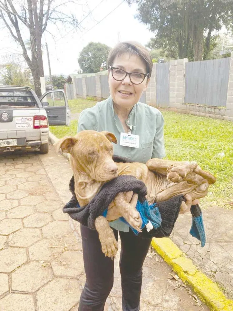 Alto compromiso con las mascotas.