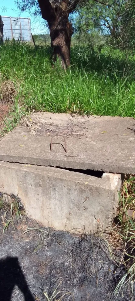 Fotos: Energía de Misiones 