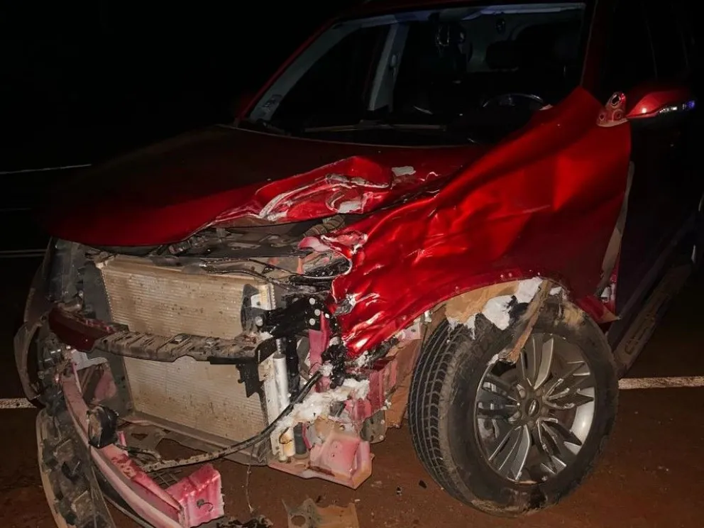 Foto: Policía de Misiones.